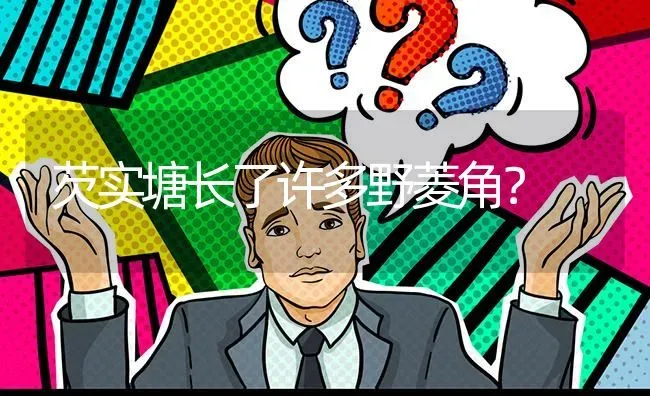 芡实塘长了许多野菱角? | 养殖问题解答