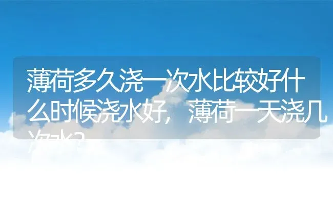 薄荷多久浇一次水比较好什么时候浇水好,薄荷一天浇几次水？ | 养殖常见问题