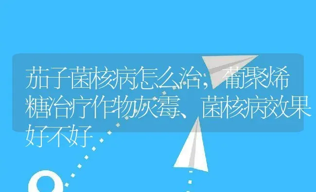 茄子菌核病怎么治,葡聚烯糖冶疗作物灰霉、菌核病效果好不好 | 养殖常见问题