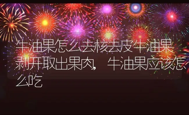 牛油果怎么去核去皮牛油果剥开取出果肉,牛油果应该怎么吃 | 养殖常见问题