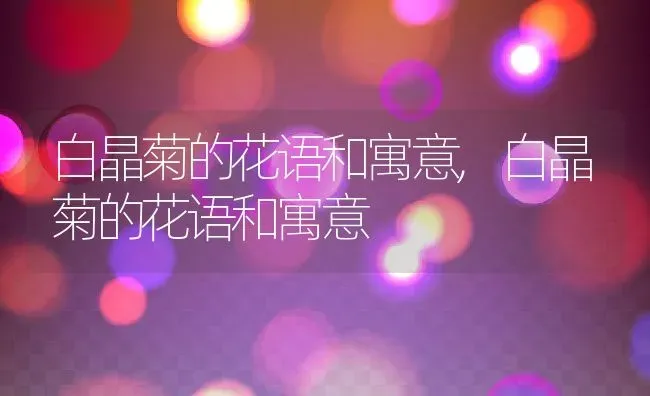 白晶菊的花语和寓意,白晶菊的花语和寓意 | 养殖常见问题