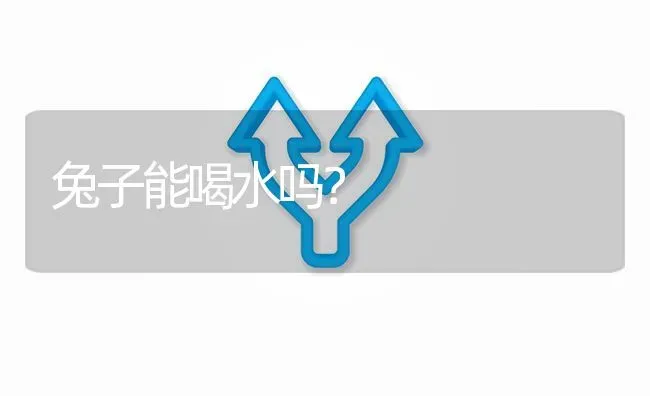 兔子能喝水吗? | 养殖问题解答