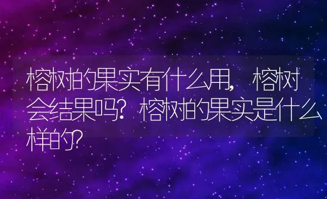 榕树的果实有什么用,榕树会结果吗?榕树的果实是什么样的？ | 养殖常见问题