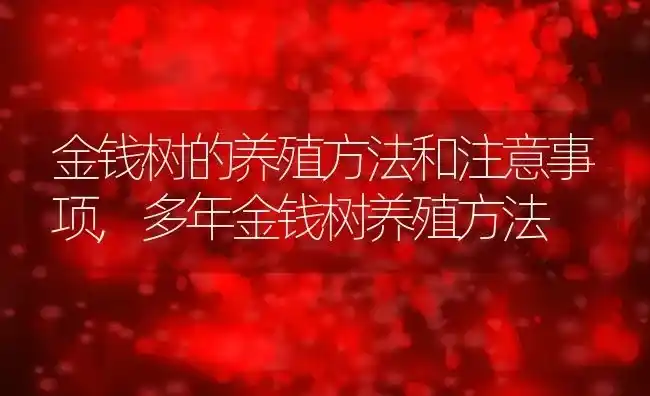 金钱树的养殖方法和注意事项,多年金钱树养殖方法 | 养殖常见问题
