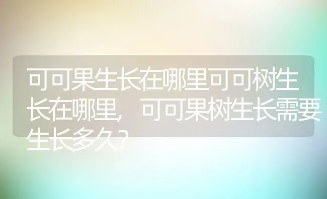 可可果生长在哪里可可树生长在哪里,可可果树生长需要生长多久？ | 养殖常见问题