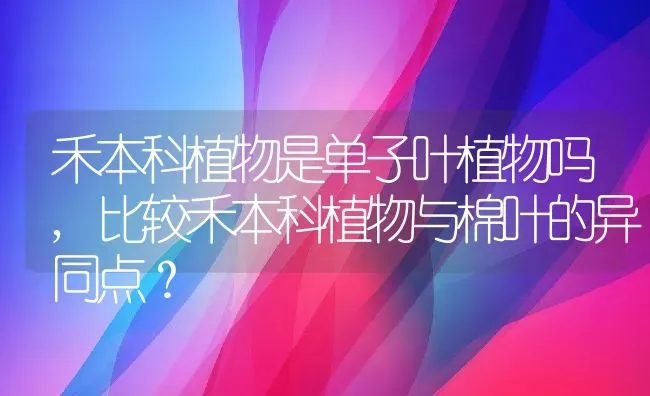 禾本科植物是单子叶植物吗,比较禾本科植物与棉叶的异同点？ | 养殖常见问题