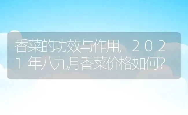 香菜的功效与作用,2021年八九月香菜价格如何？ | 养殖常见问题