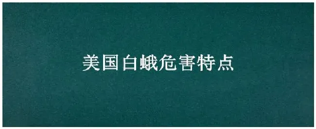 美国白蛾危害特点 | 农业常识