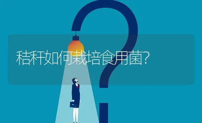 秸秆如何栽培食用菌? | 养殖问题解答