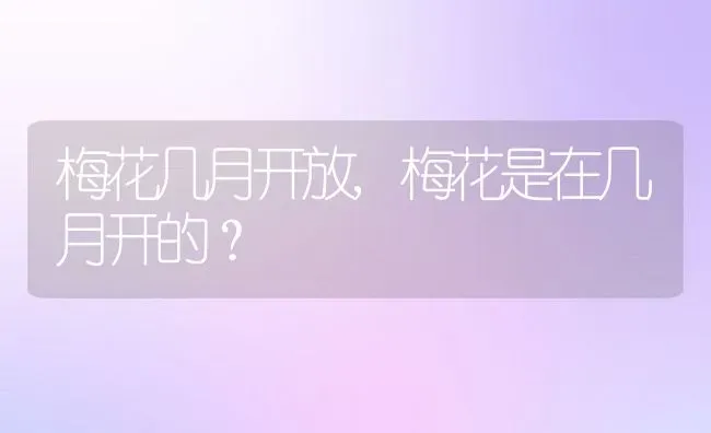 梅花几月开放,梅花是在几月开的？ | 养殖常见问题