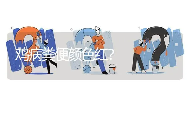 鸡病粪便颜色红? | 养殖问题解答