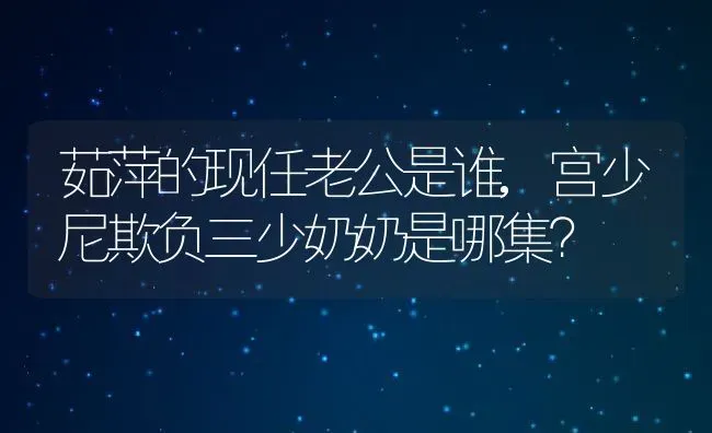 茹萍的现任老公是谁,宫少尼欺负三少奶奶是哪集？ | 养殖常见问题