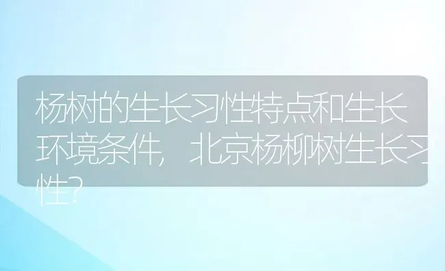 杨树的生长习性特点和生长环境条件,北京杨柳树生长习性？ | 养殖常见问题