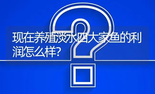 现在养殖淡水四大家鱼的利润怎么样? | 养殖问题解答