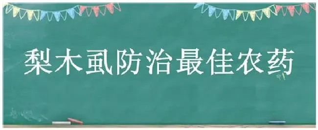 梨木虱防治最佳农药 | 三农答疑