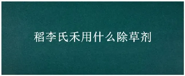 稻李氏禾用什么除草剂 | 农业问题