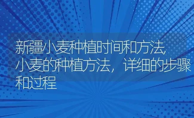 新疆小麦种植时间和方法,小麦的种植方法，详细的步骤和过程 | 养殖常见问题