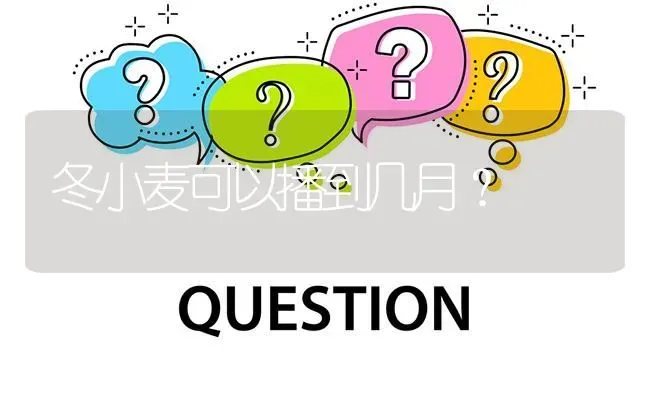 冬小麦可以播到几月? | 养殖问题解答