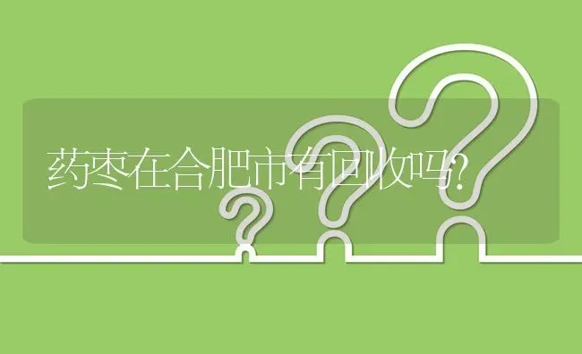 药枣在合肥市有回收吗? | 养殖问题解答