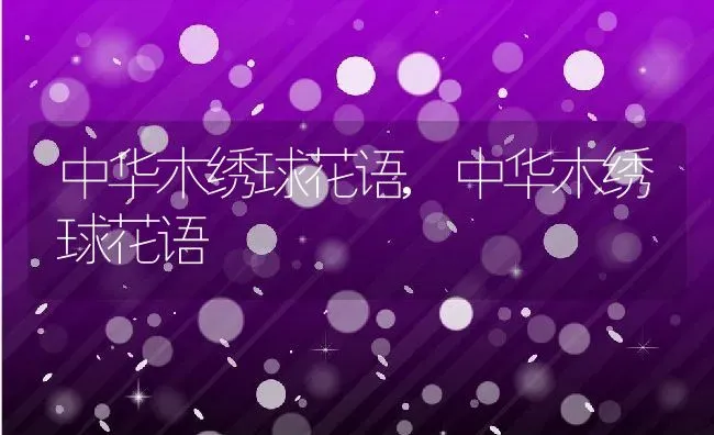 中华木绣球花语,中华木绣球花语 | 养殖常见问题
