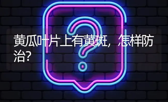 黄瓜叶片上有黄斑,怎样防治? | 养殖问题解答