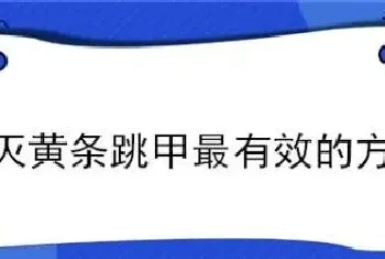 杀灭黄条跳甲最有效的方法