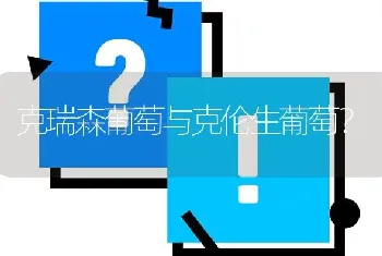 克瑞森葡萄与克伦生葡萄?