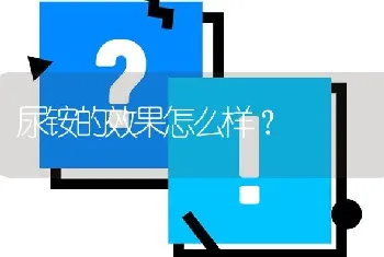 尿铵的效果怎么样?