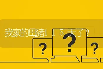 黄瓜表面很不光滑?