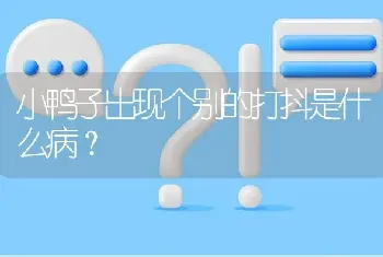 小鸭子出现个别的打抖是什么病?