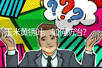 玉米黄锈叶,如何防治?