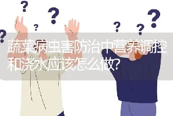 蔬菜病虫害防治中营养调控和浇水应该怎么做?