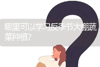 哪里可以学习反季节大棚蔬菜种植?