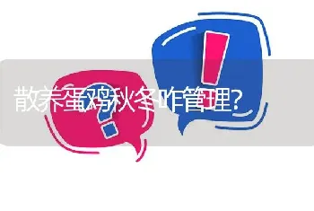 散养蛋鸡秋冬咋管理?