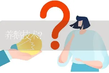 养鹅技术?