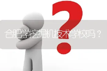 合肥学挖掘机技术学校吗?