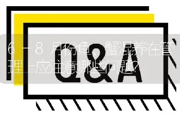 6-8月份鱼、蟹混养在管理上应注意哪些问题?