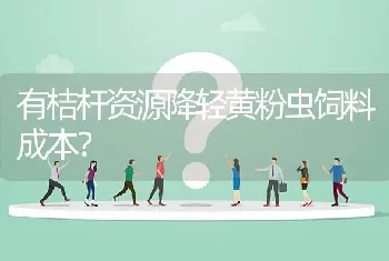 哪里去购黄瓜种子,应如何种植?