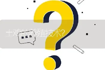 土鸡的养殖技术?