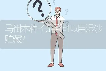 马褂木种子是否可以用湿沙贮藏?