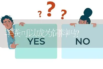 羊粪可以成为饲料吗?