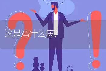 玉米为何烂心?