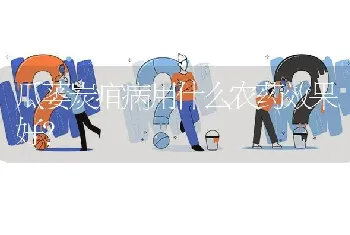 瓜蒌炭疽病用什么农药效果好?