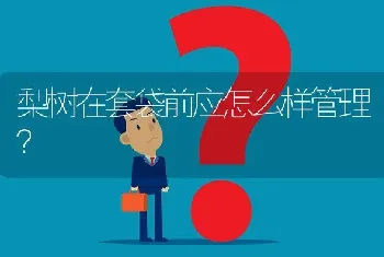 梨树在套袋前应怎么样管理?