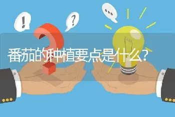 济南适合养什麽鱼?