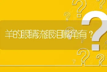 羊的眼睛流眼泪嘴角有?