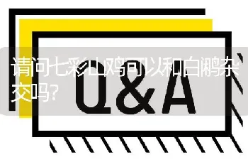 请问七彩山鸡可以和白鹇杂交吗?