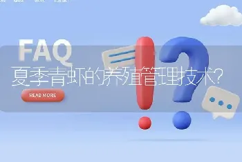 夏季青虾的养殖管理技术?