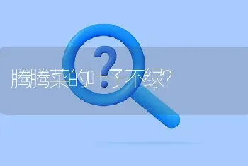 腾腾菜的叶子不绿?