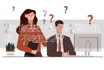 猪打氨基比林+青霉素后低温,不吃怎么办?